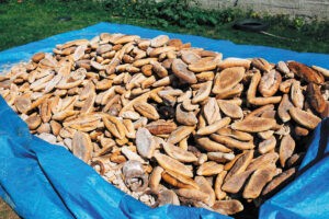 A pile of discarded bread loaves on a tarpaulin