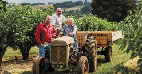 Cliff Risebourgh (right) with his sons Stephen (middle) and Glenn (left) from third‑generation family farm CherryHill Orchards (cherries)