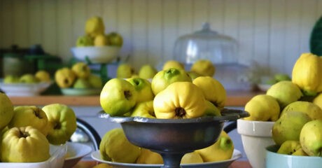 Quince HQ has a focus on educating about the forgotten fruit. Picture is mounds of green quince fruit, some in blue and white bowls, some in cake stands. There are a number of bowls close to the camera while further away are blurred piles.